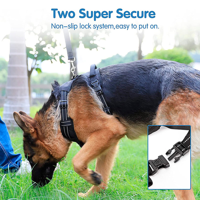 宠物狗胸背带 大款
